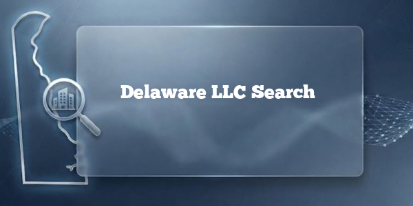 Delaware LLC Search